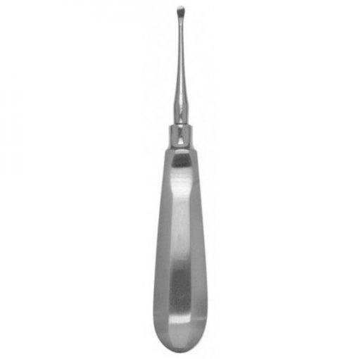 Molt Curette