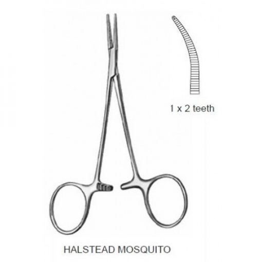 HALSTEAD MOSQUITO