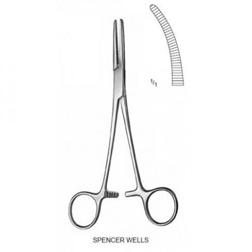 SPENCER WELLS